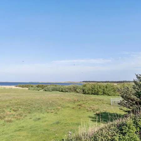 Pet Friendly In Appartement